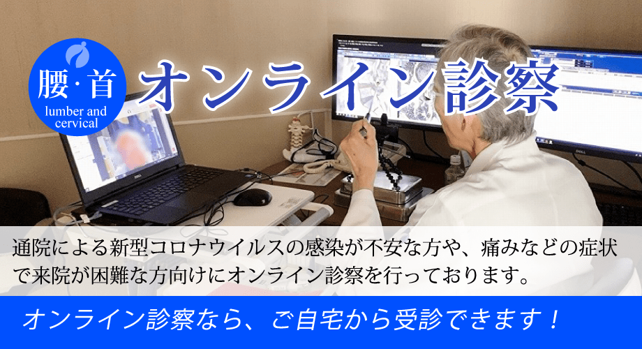 都庁採用 福島県庁採用 若手脊椎外科医のための内視鏡手術ガイド 岩井